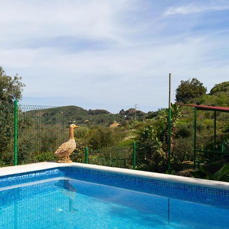 Live Finca El Gamonal Bajo Con Piscina Y Jardin En La Naturaleza Santa Brígida Zewnętrze zdjęcie