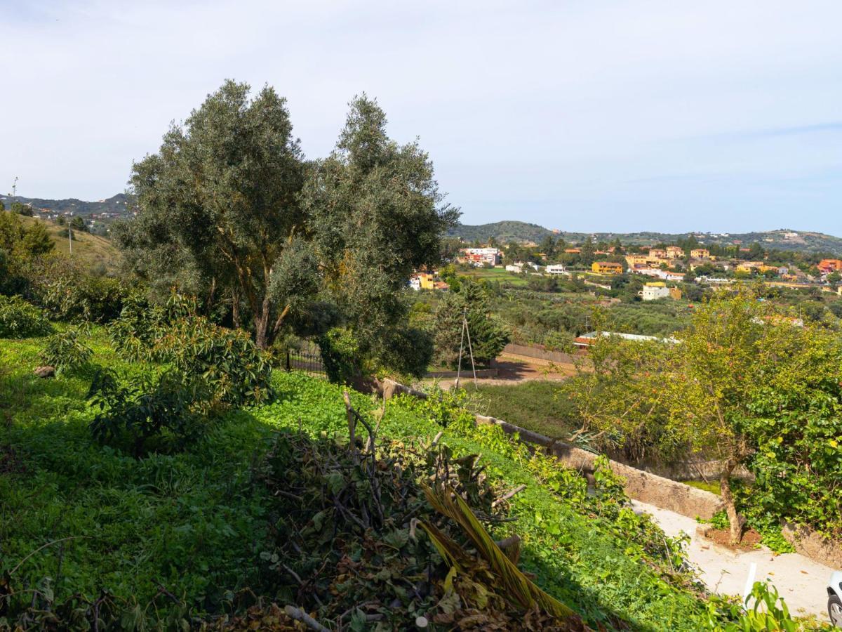 Live Finca El Gamonal Bajo Con Piscina Y Jardin En La Naturaleza Santa Brígida Zewnętrze zdjęcie