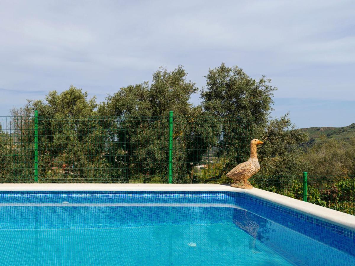 Live Finca El Gamonal Bajo Con Piscina Y Jardin En La Naturaleza Santa Brígida Zewnętrze zdjęcie