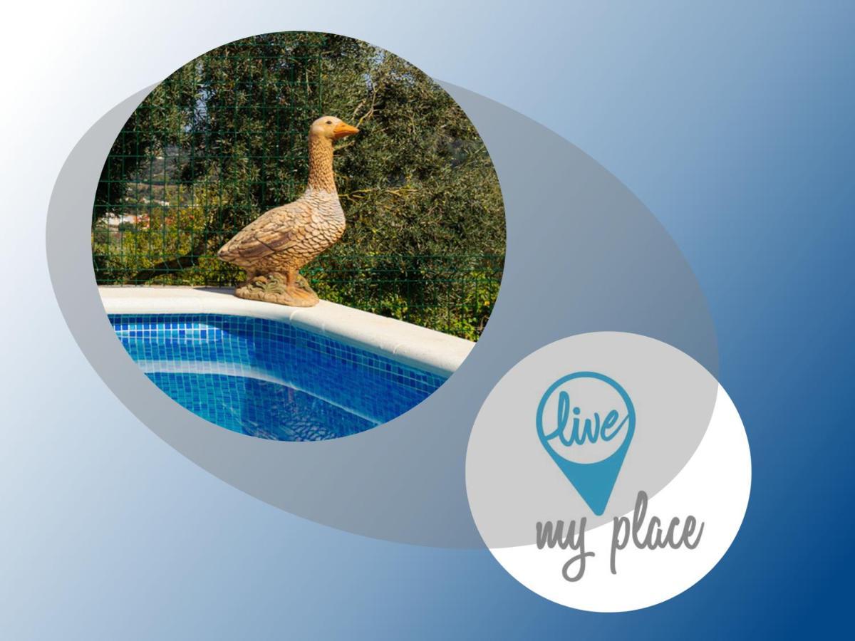 Live Finca El Gamonal Bajo Con Piscina Y Jardin En La Naturaleza Santa Brígida Zewnętrze zdjęcie